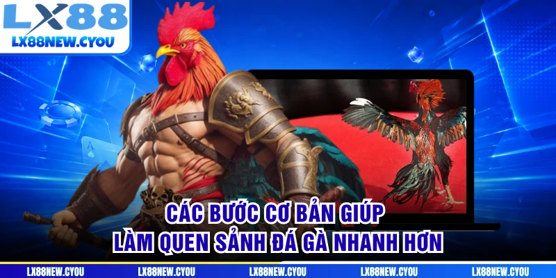 Các bước cơ bản giúp làm quen sảnh đá gà nhanh hơn