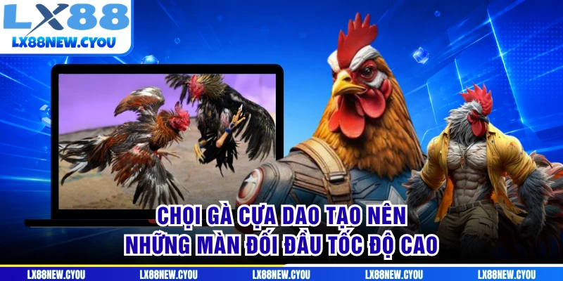 Chọi gà cựa dao tạo nên những màn đối đầu tốc độ cao